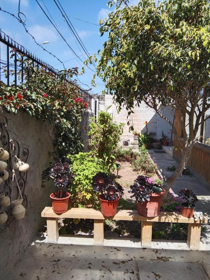 לה סרנה Casa Serena 513 מראה חיצוני תמונה